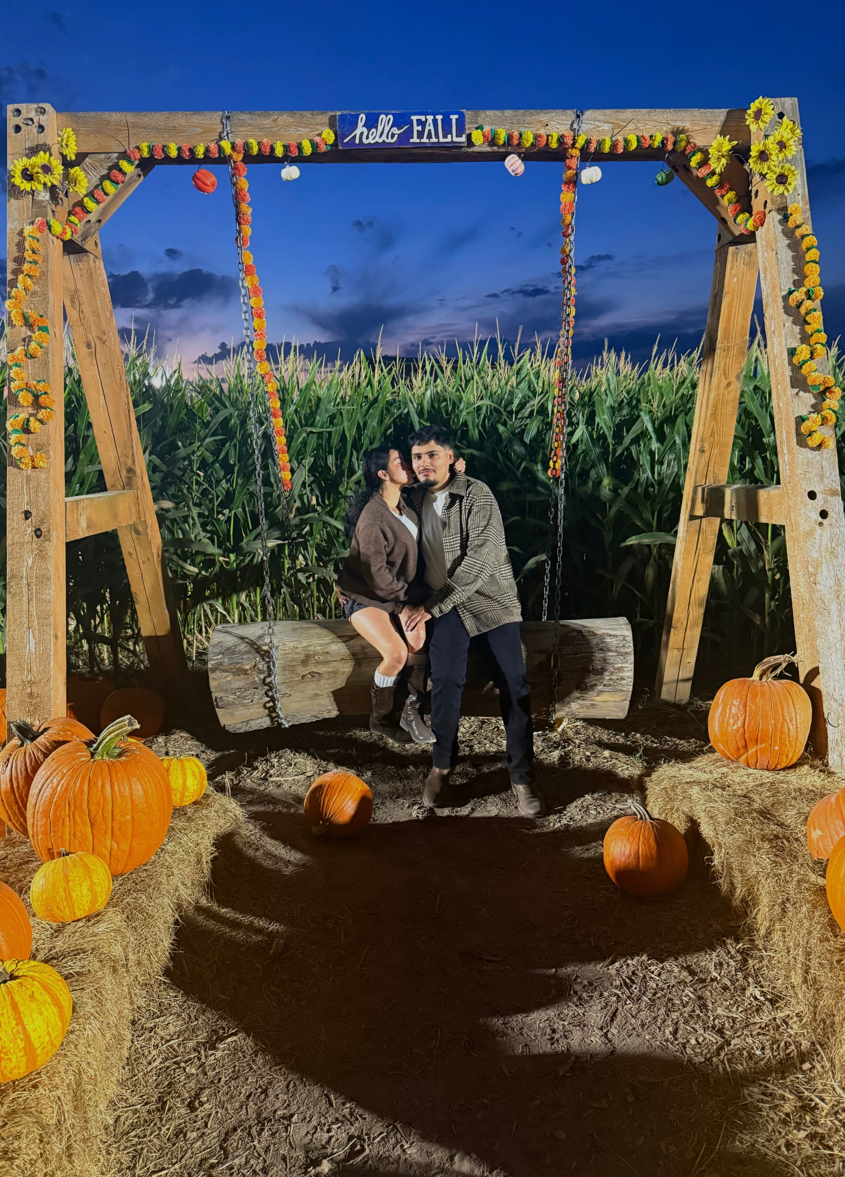 Pumpkin Patch — 1 of 2